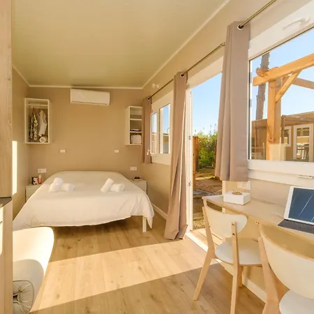 Pla De La Torre * Sant Antoni De Calonge